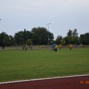 plewis 14